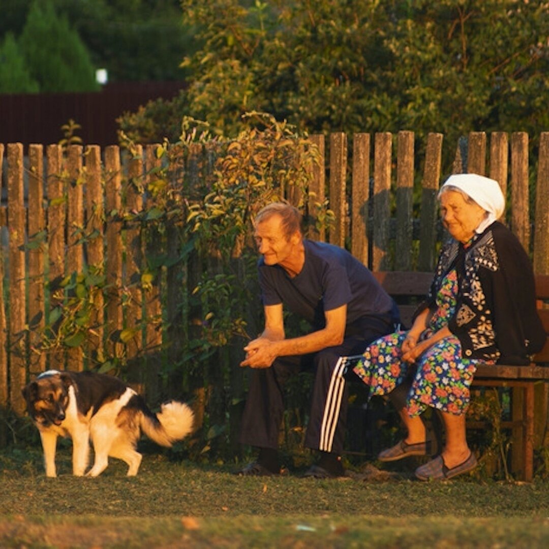 фотография из открытого доступа