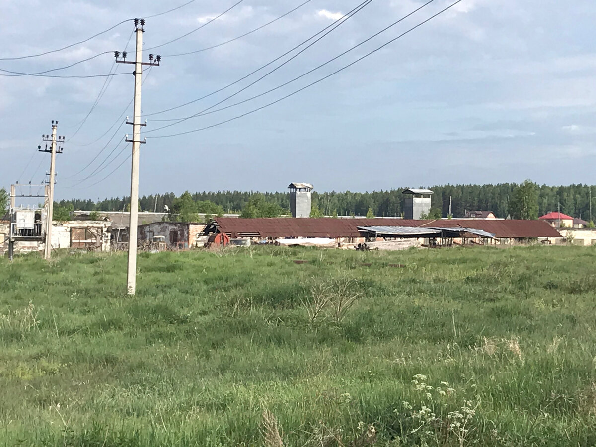 На окраине поселка есть помещения бывшего совхоза. На данный момент в частной собственности, где и содержатся несколько коров и лошадей 