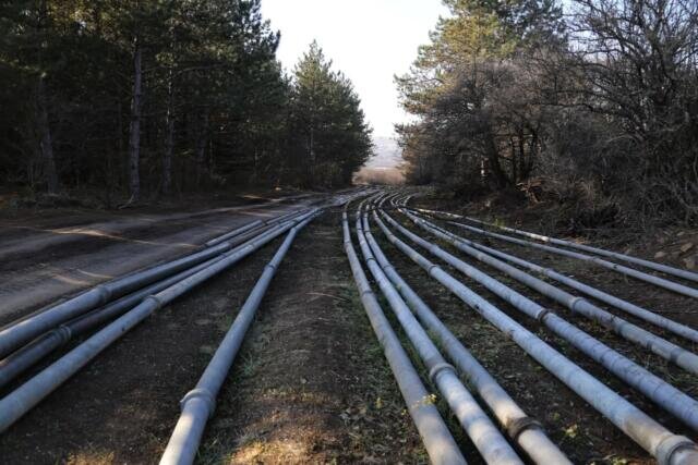 Фото: Наталья Сомова 