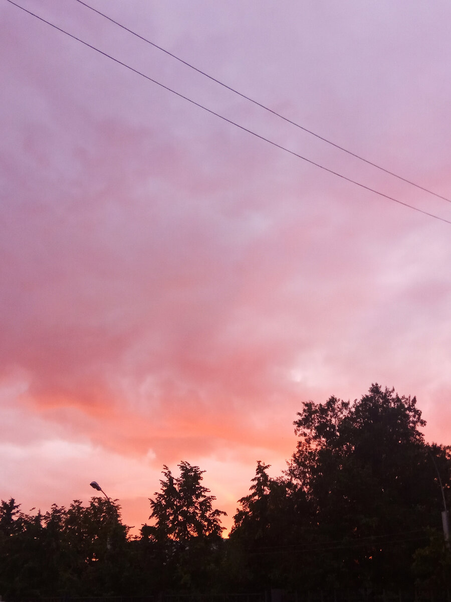 "Лучше хранить молчание и считаться дураком, чем раскрыть рот и оказаться им" (Марк Твен)