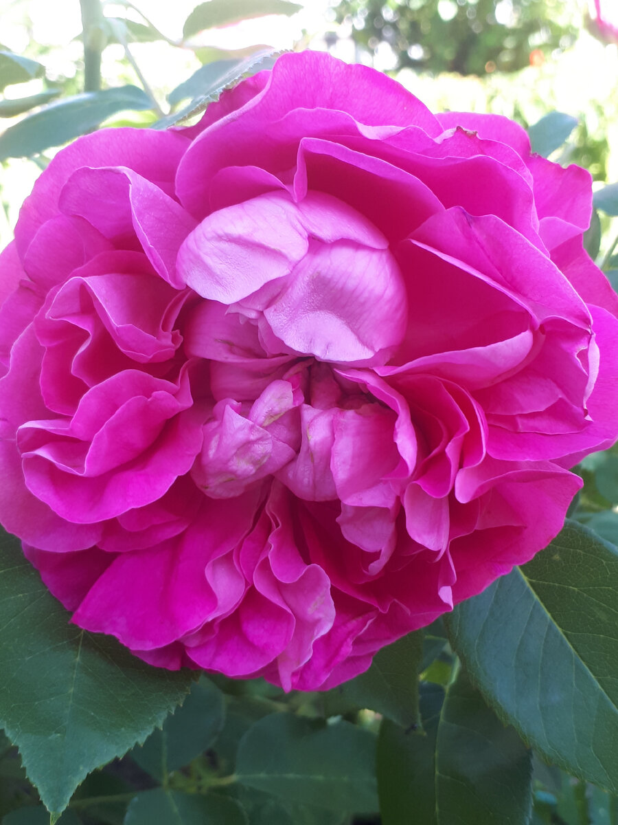 Личное фото автора.