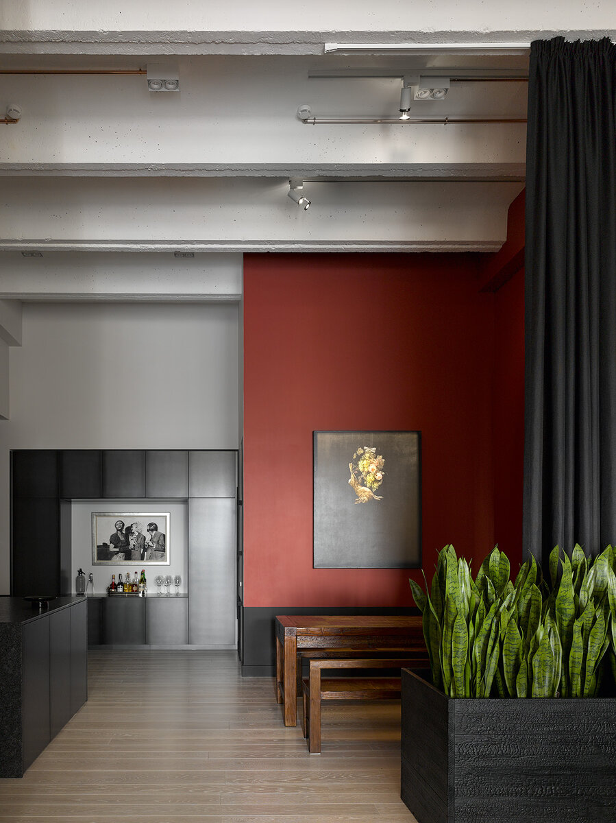 Искусственная сансевиерия Treez в интерьере