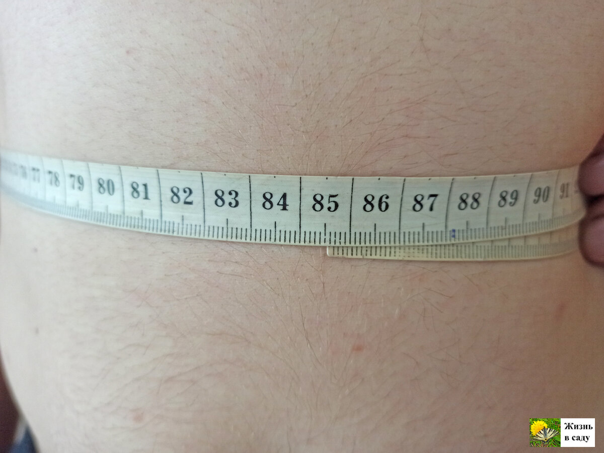 Талия 84,5 см, а...