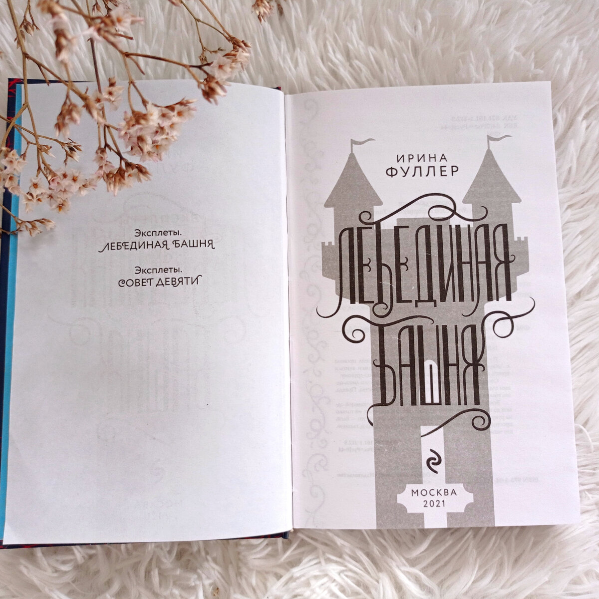Ирина Фуллер "Эксплеты. Лебединая башня"