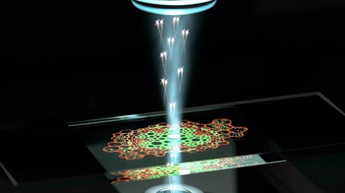 Впечатление художника от квантового микроскопа, который использует пары фотонов с квантовыми корреляциями для получения образцов изображения с более высоким разрешением при менее интенсивном свете. Квинслендский университет