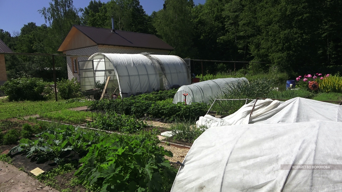 Теплица накрыта спанбондом