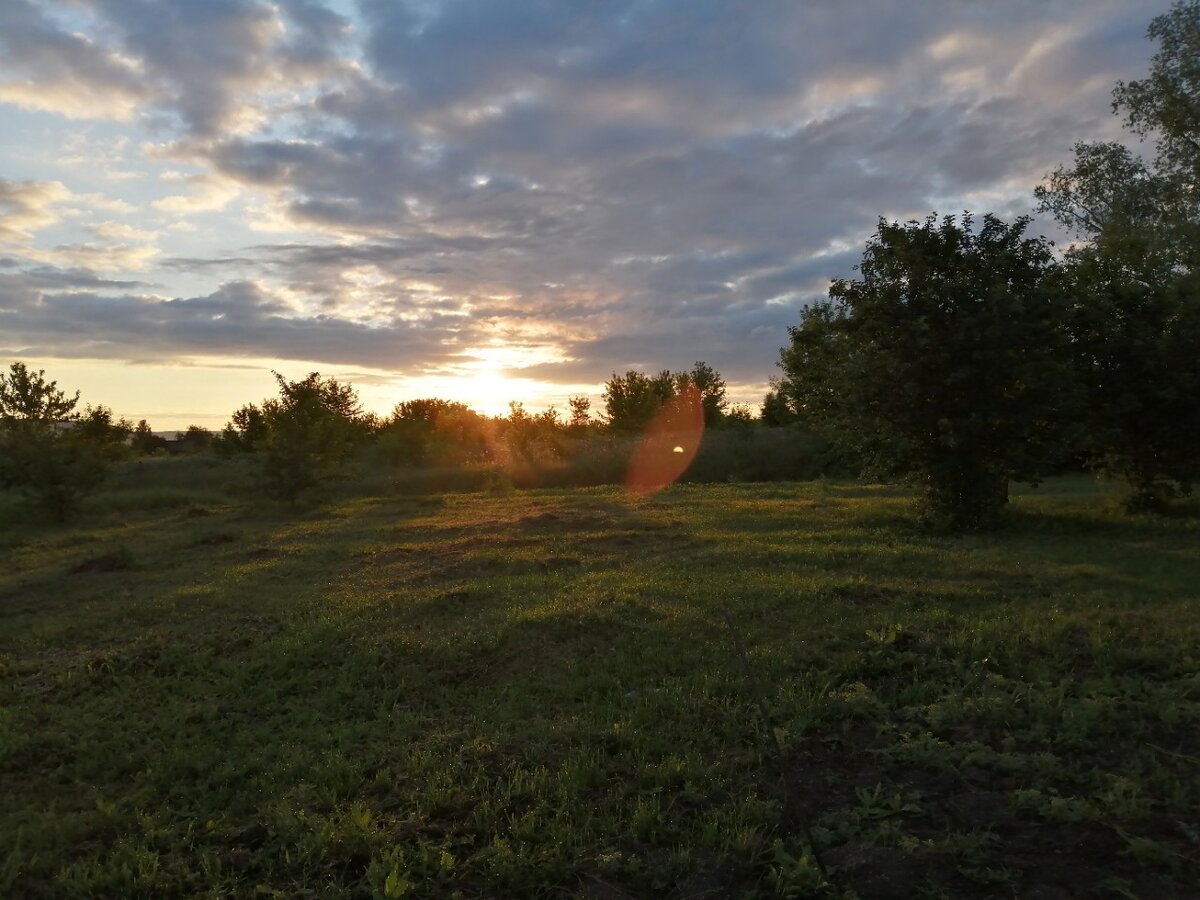 Первые солнечные лучики. Фото автора