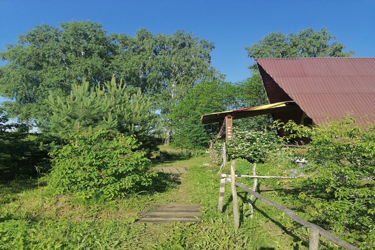 Экотуризм в Новосибирской области