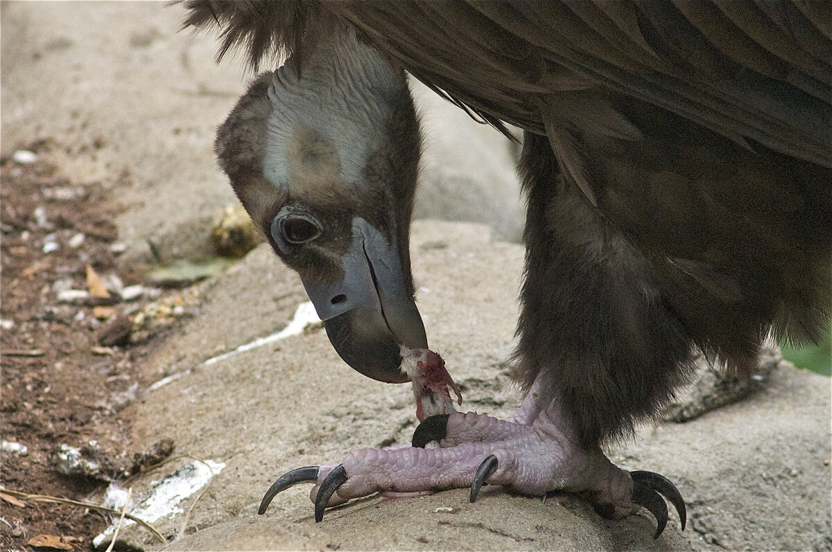 Мал золотник да дорог - даже такой маленький кусочек не должен пропадать