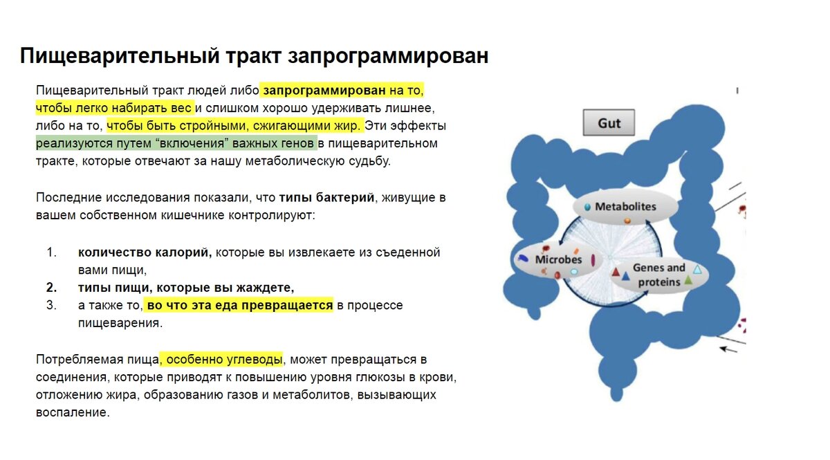 Из вебинара по питанию "Пробужденного пупка"