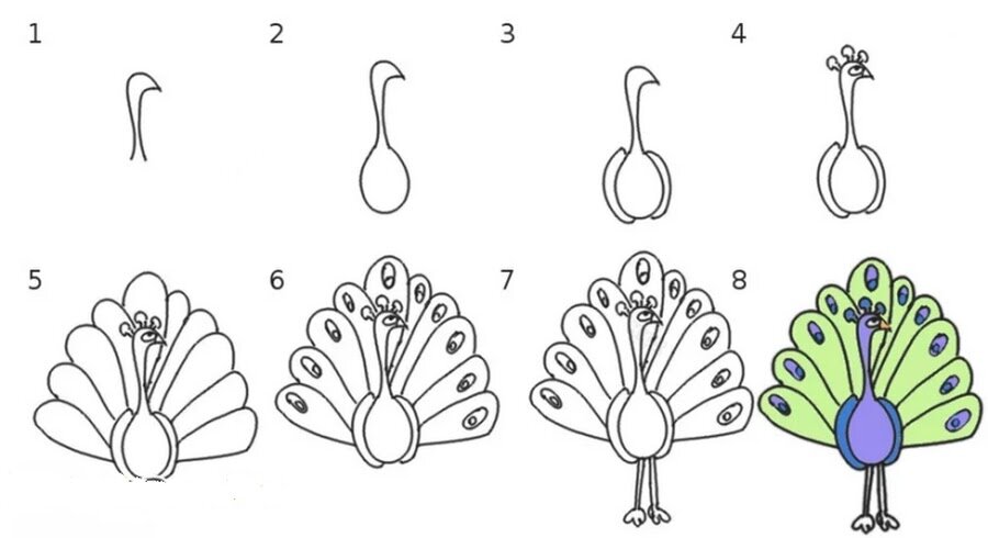 Как нарисовать павлина ребенку 7 лет пошагово - жк-вершина-сайт.рф