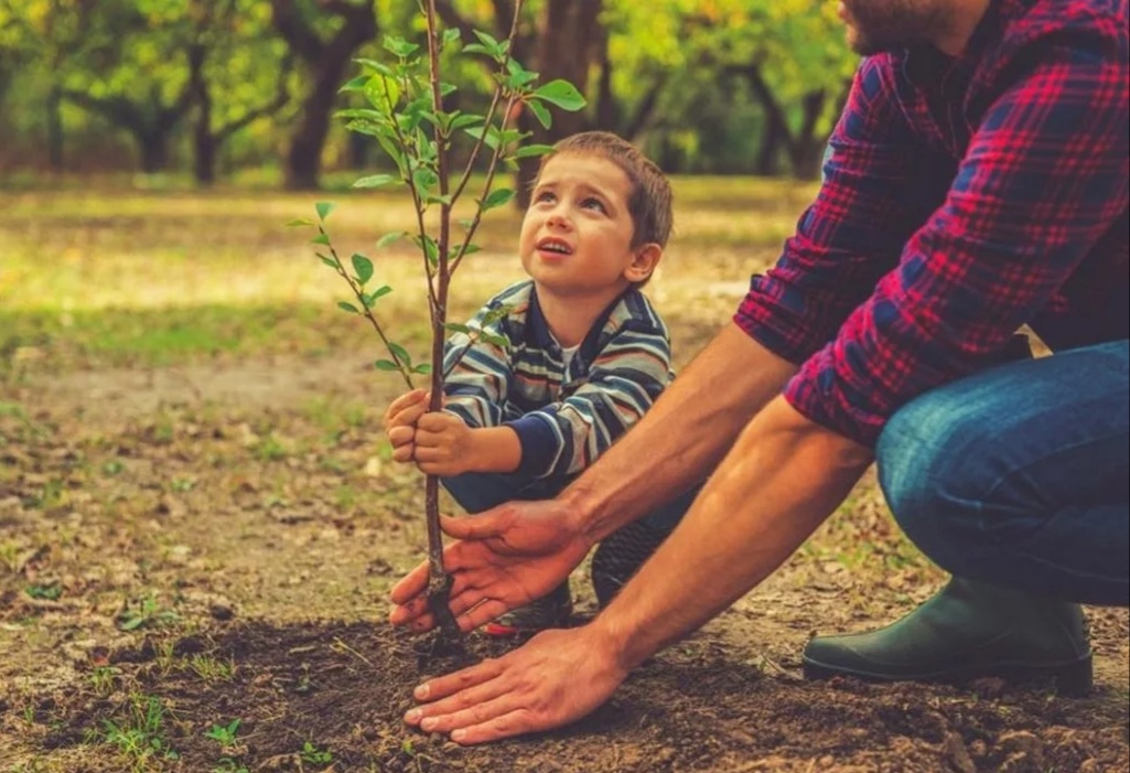 Взято из открытых источников