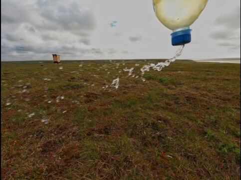 Природа подсказала, как показать ветер