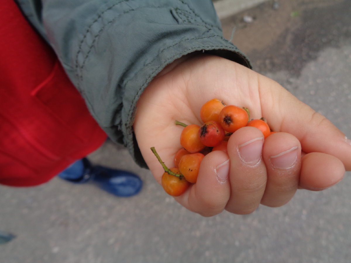 Подарок маме