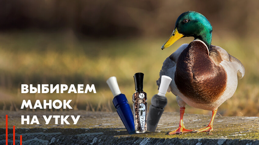 Маним утку манком. Звук утки. как правильно дуть в манок на утку. как правильно манить утку духовым манком. как сделать звук утки.