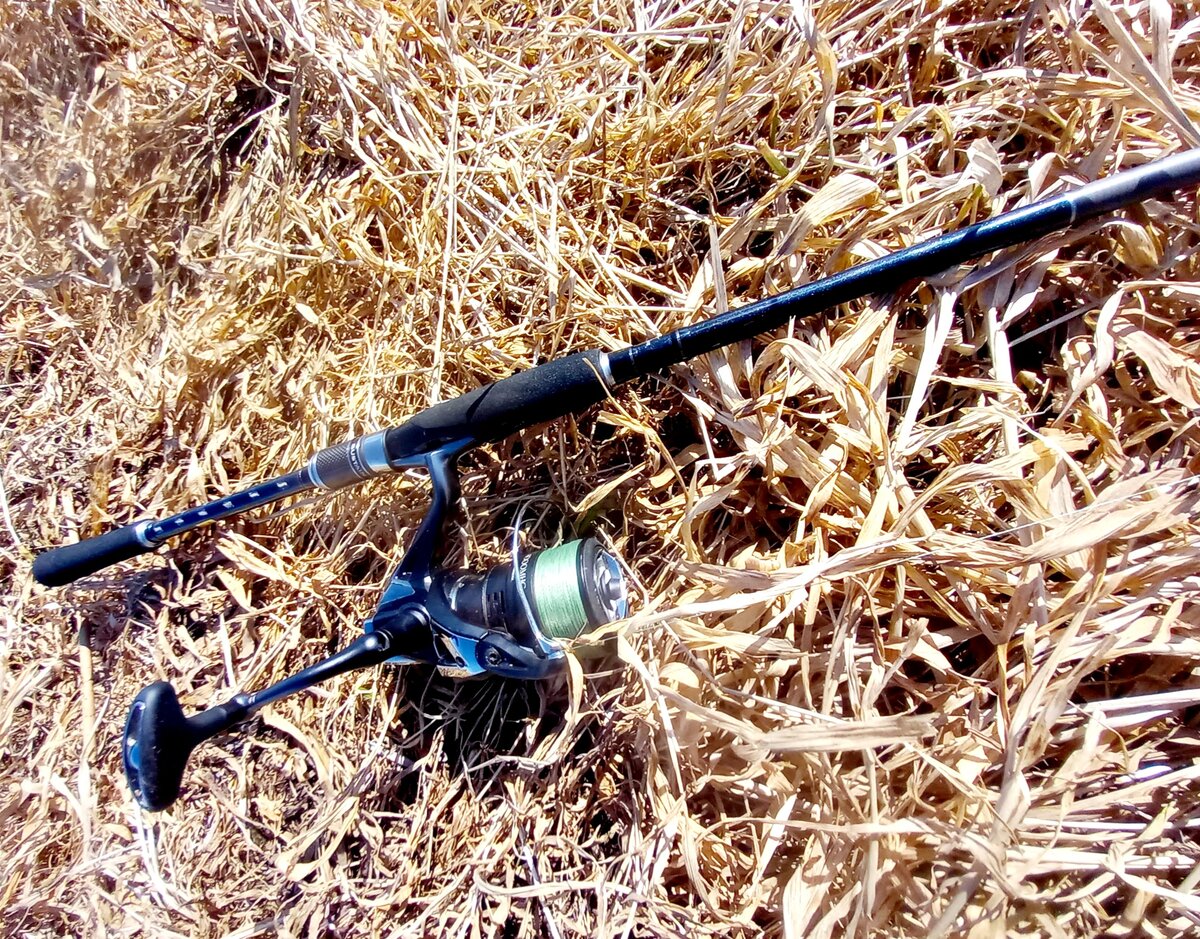 Shimano Sustain AX