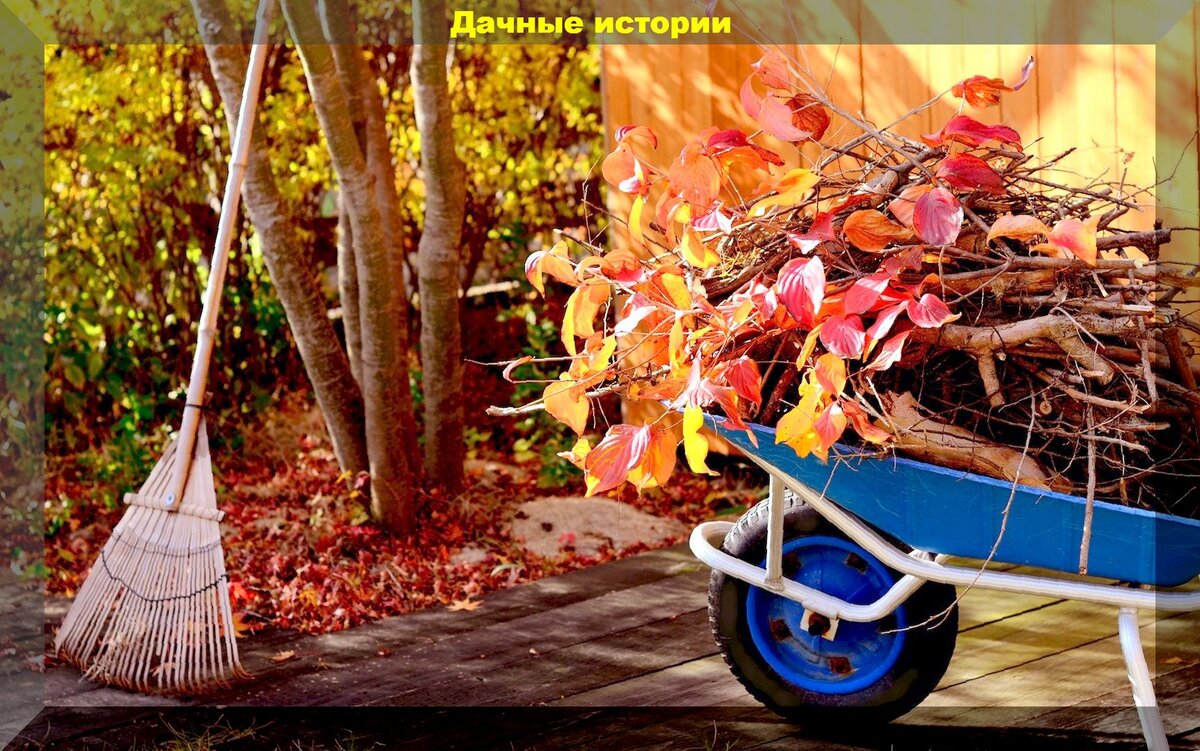 https://vk.com/photo-159774511_457249396