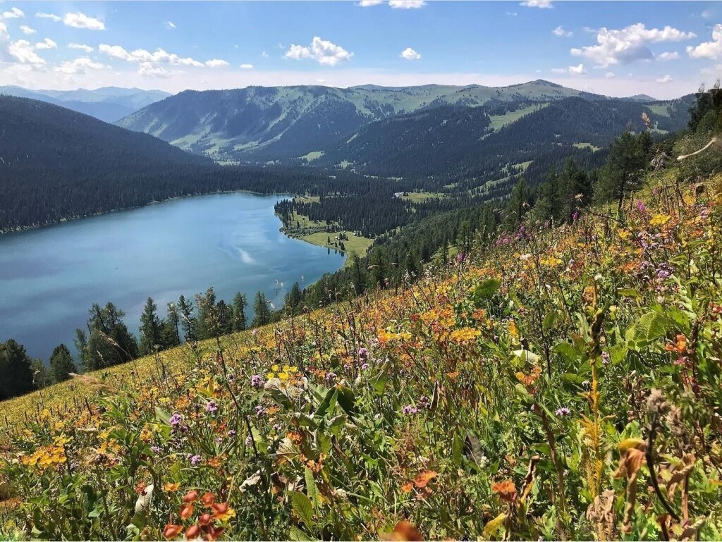 Фото:s_viento / instagram 