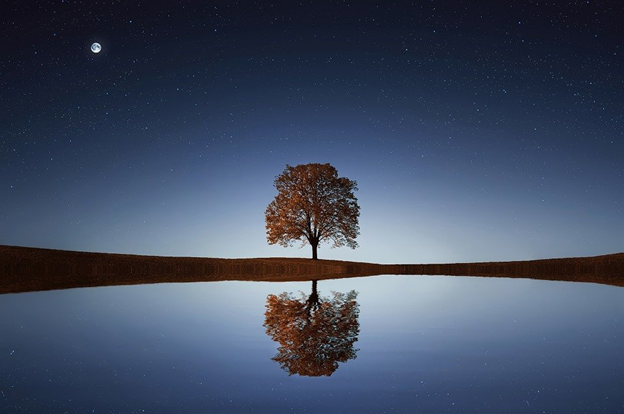 Источник: pixabay.com