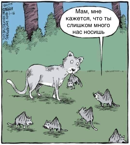 Комиксы с котами