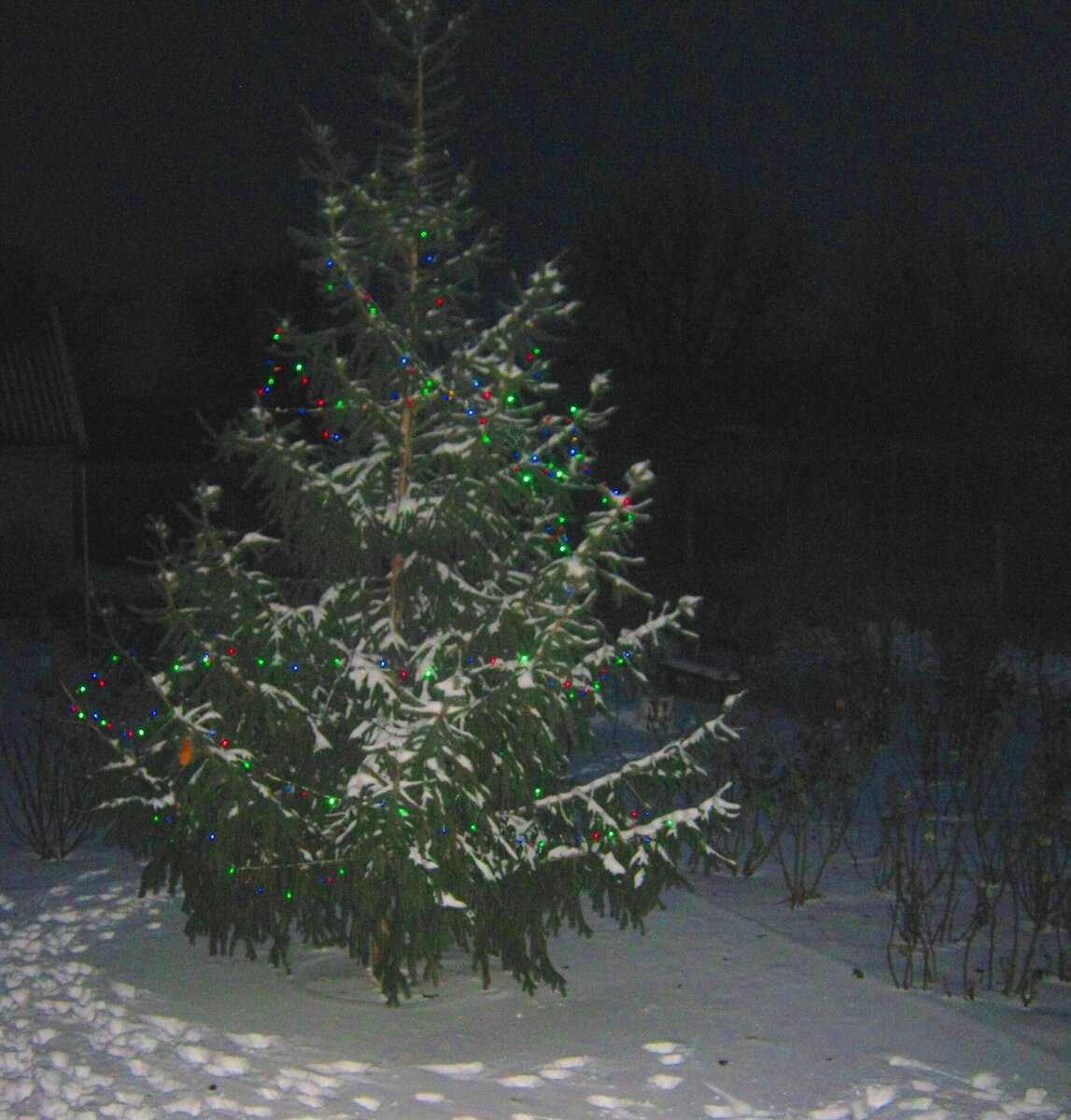 Наша Новогодняя елочка 2013 год