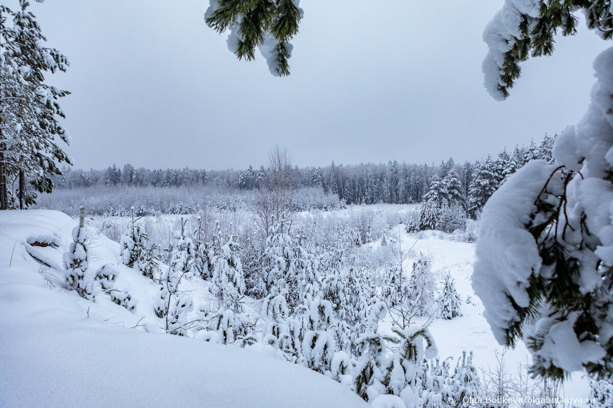 фото моего авторства