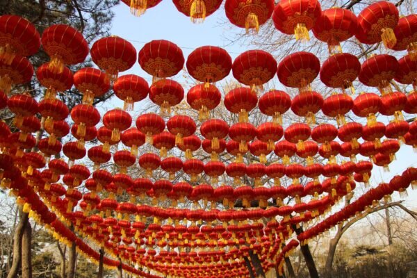 Фото: pixabay.com