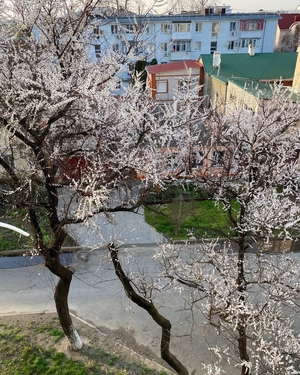 Субботний день в Анапе. Фото прогулка по городу. | РЕЦЕПТЫ хорошего отдыха  | Дзен