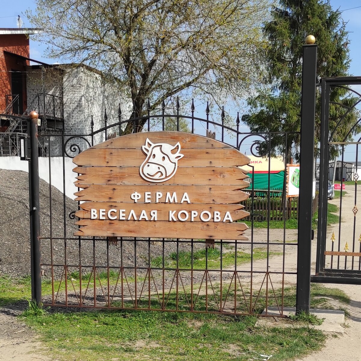 Ферма Веселая корова, Подмосковье. Личное фото автора.