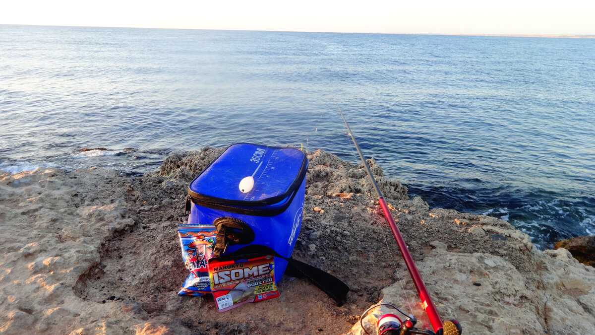 Фото автора.