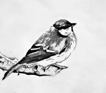 13 глава о приключениях Тимофея, в которой наш герой понимает, как опасно бывает бегать по крышам, гоняясь за хорошими птичками