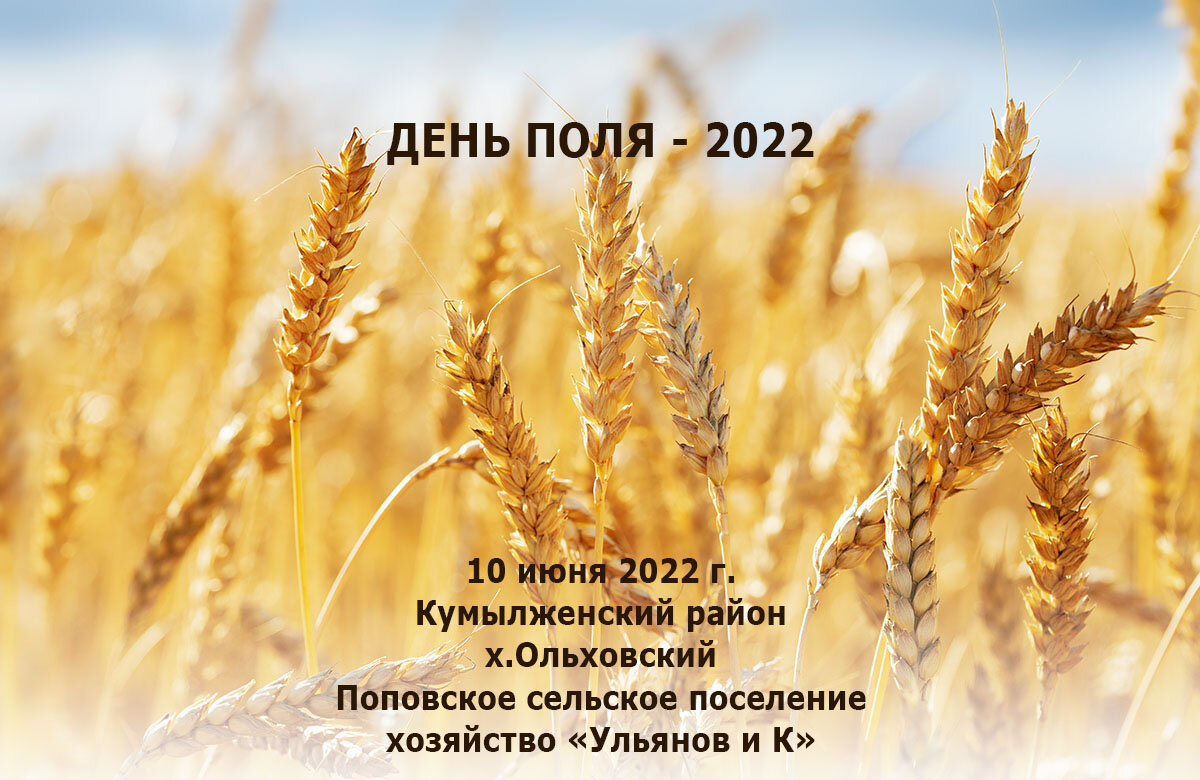 День поля - 2022 в Кумылженском районе х.Ольховский Поповское сельское поселение