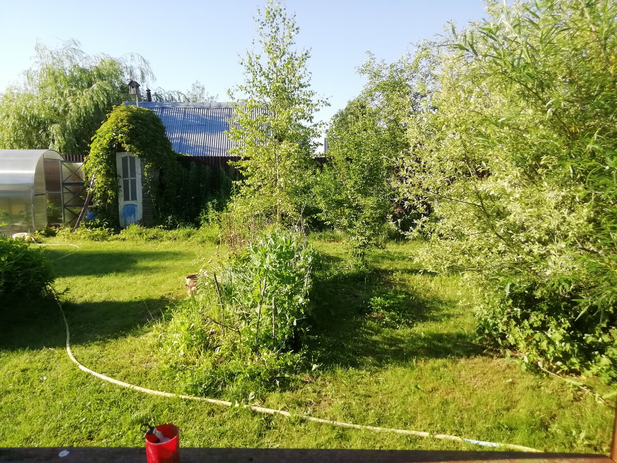 Участок после стрижки выглядит куда лучше. 