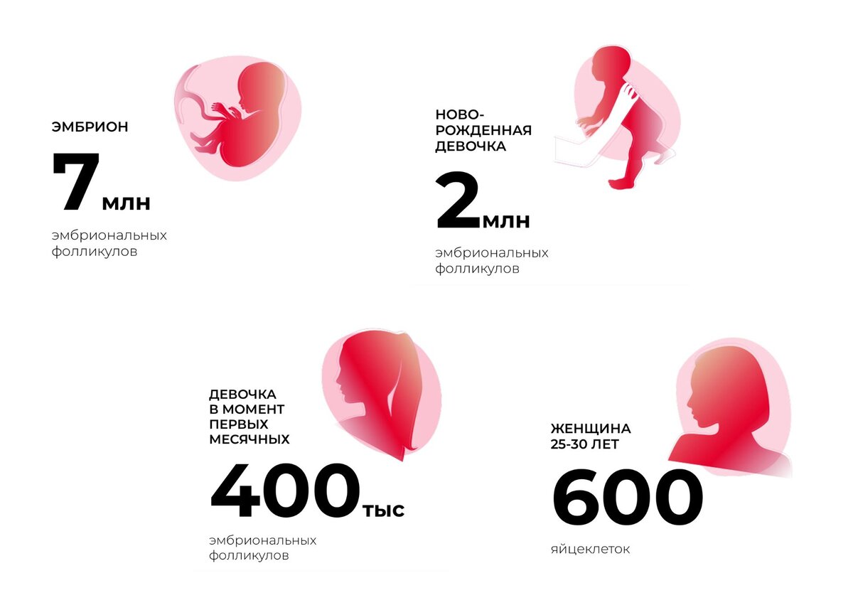 На протяжении жизни женщины овариальный резерв постоянно сокращается. 