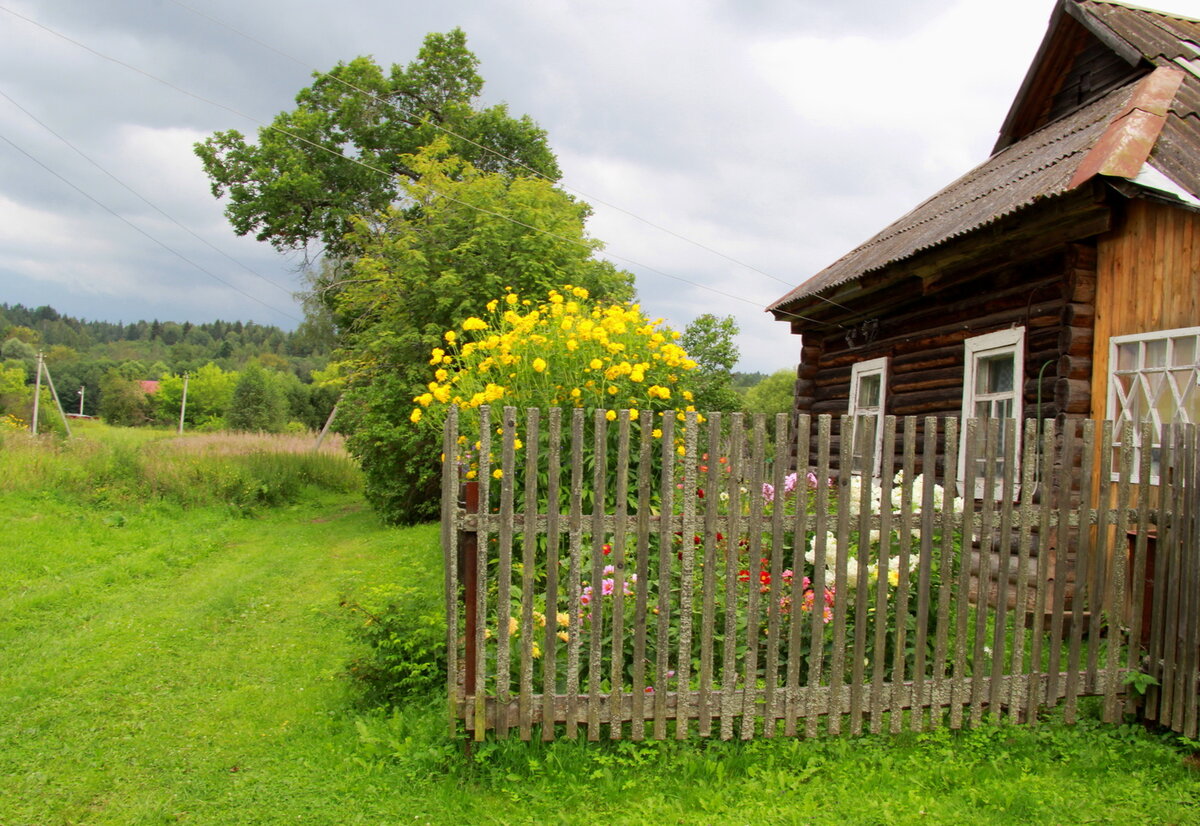 Деревни России. Фото из интернета