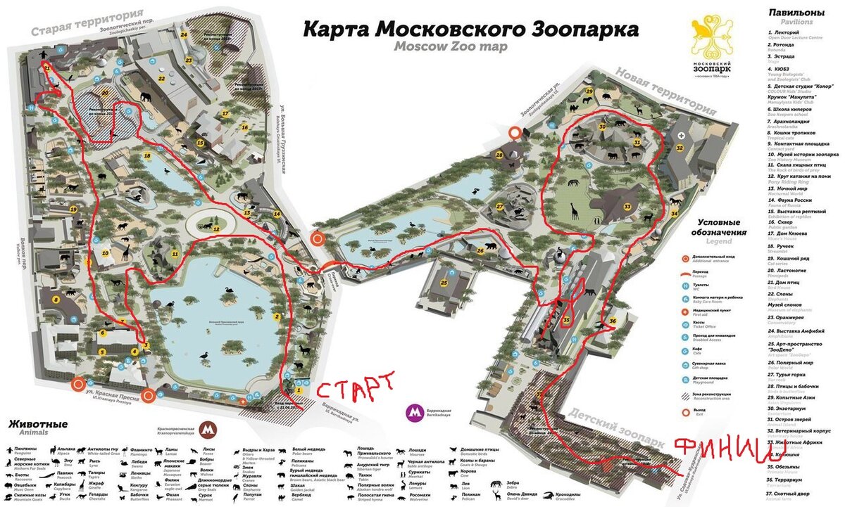 зоопарк москва на карте метро. зоопарк москва на карте метро. московский зоопарк план территории. от метро баррикадная до зоопарка. на какой станции московский зоопарк.