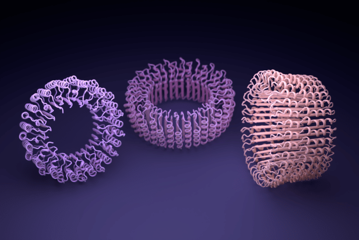    Структуры белков, созданные искусственным интеллектом/ © Ian Haydon, UW Medicine Institute for Protein Design