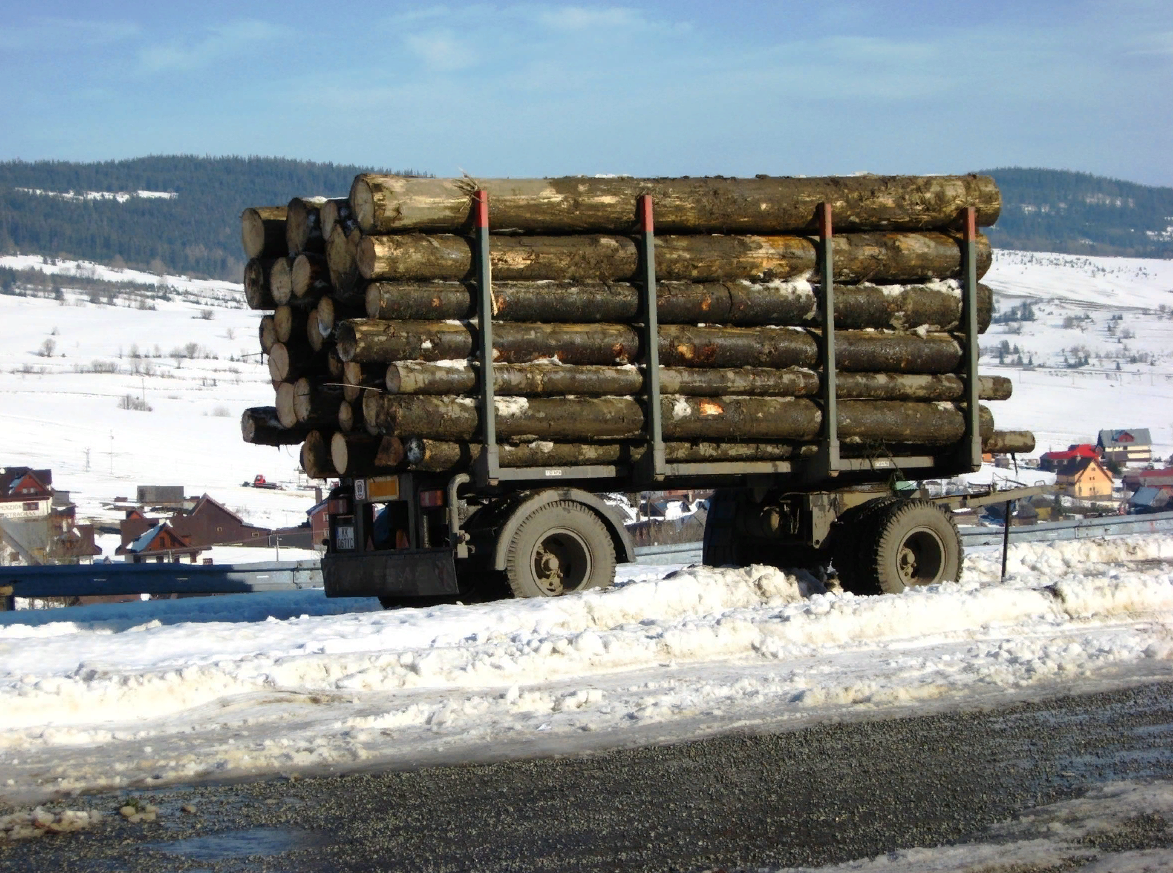 в Словакии красивые горы