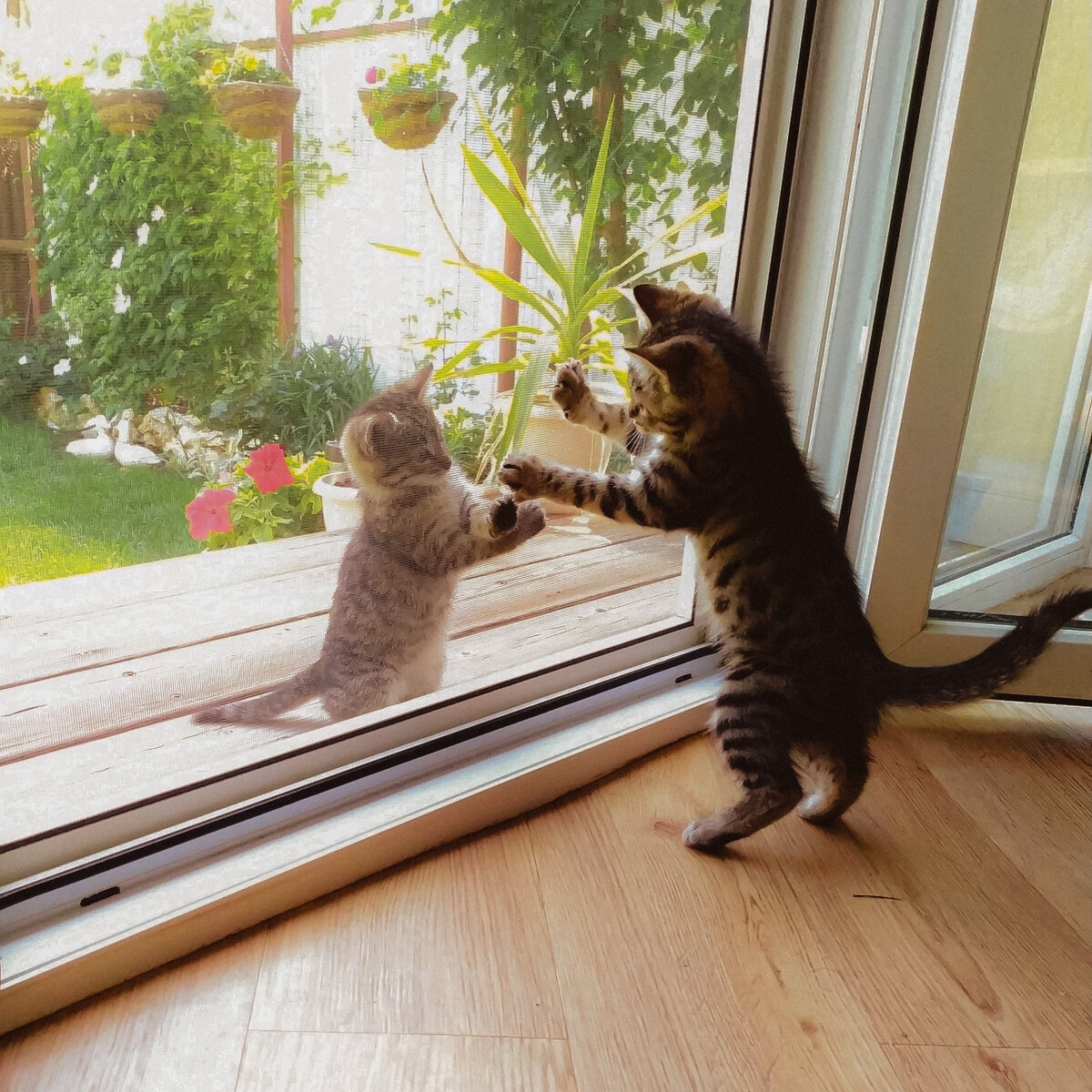С сестренкой!  (=^-^=)