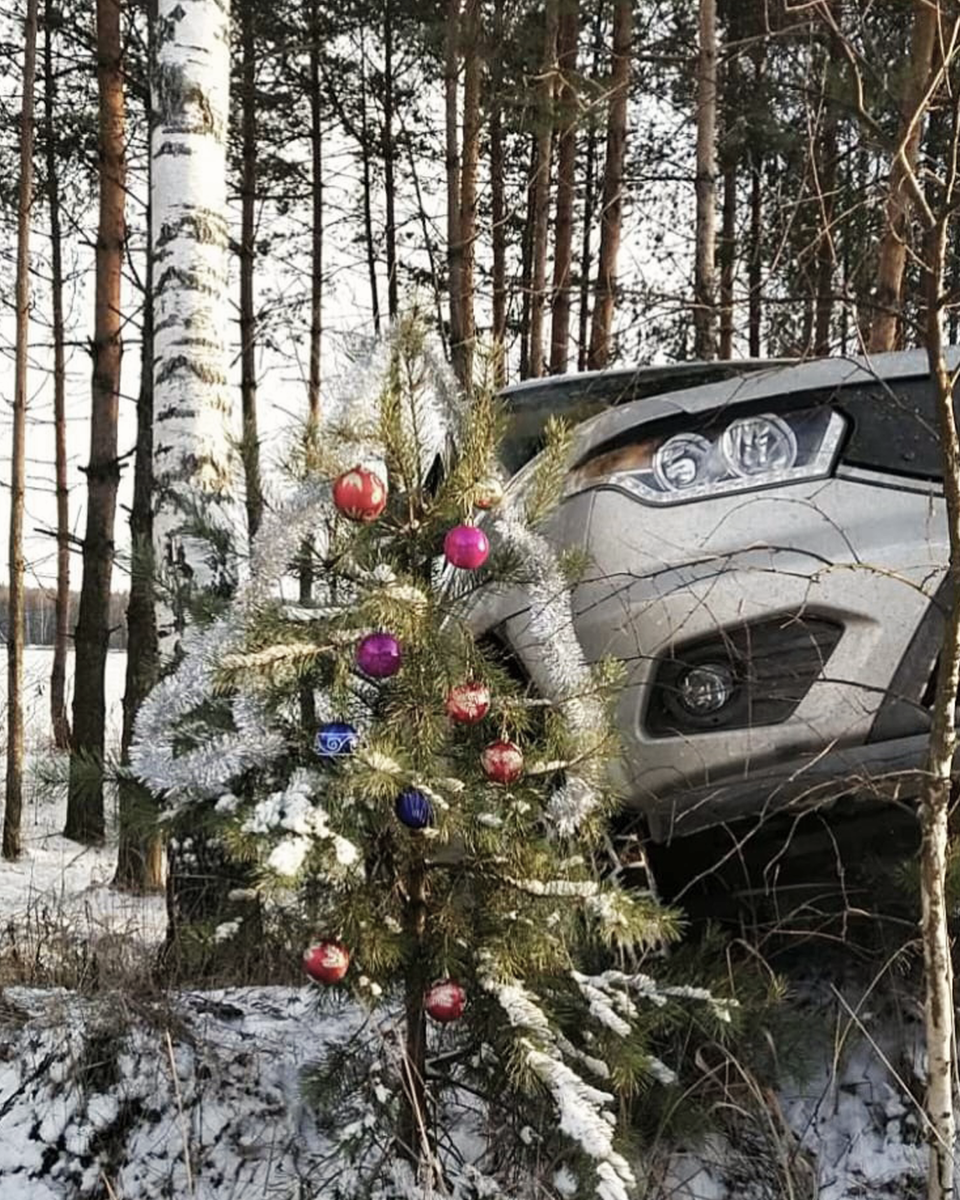 А под елочкой… сюрприз! Фотография Алексея Пирогова