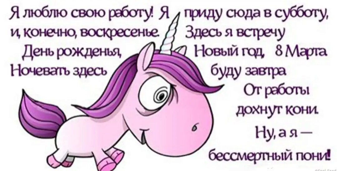 Бессмертный пони картинка с приколом