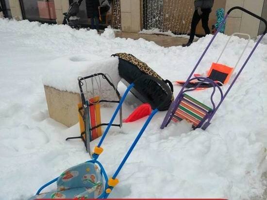     Фото t.me/park_galitskogo