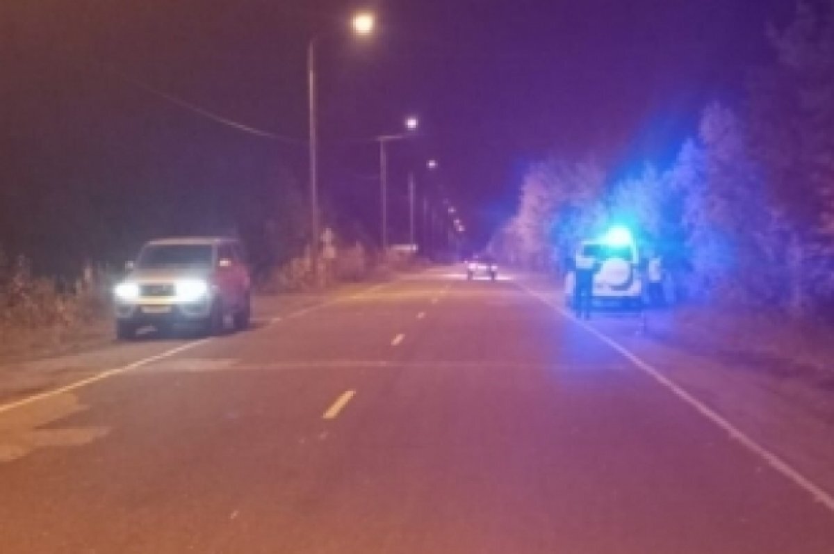    В Коми разыскивают водителя, который сбил на дороге 9-летнего мальчика