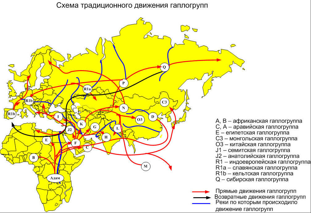 Карта днк генеалогии