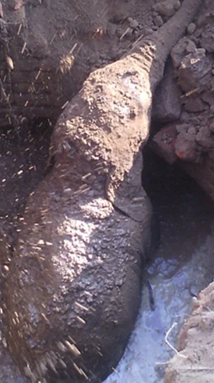 Не смогла остаться равнодушной к этой истории и, хочу поделиться ей с вами.-11