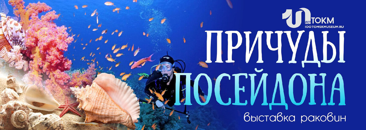 Выставка ракушек в Томске