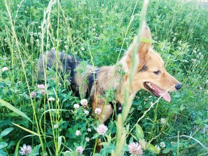 личное фото