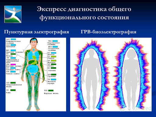 Коралловый клуб - перспективы развития