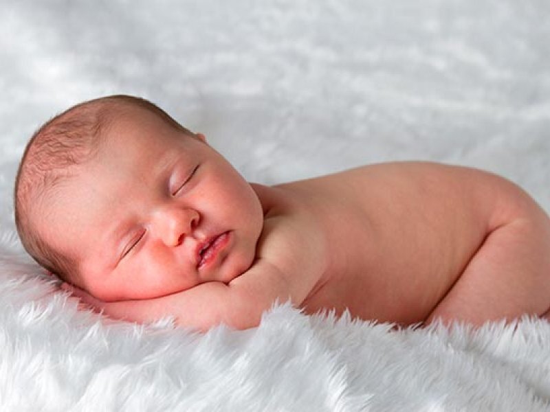 Фото взято из поисковой системы Яндекс