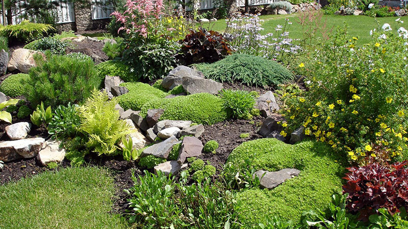 Уход за рокарием